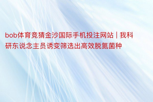 bob体育竞猜金沙国际手机投注网站 | 我科研东说念主员诱变筛选出高效脱氮菌种