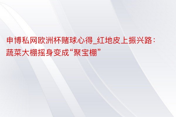 申博私网欧洲杯赌球心得_红地皮上振兴路：蔬菜大棚摇身变成“聚宝棚”